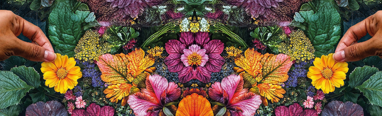 substral_case_abbinder_website