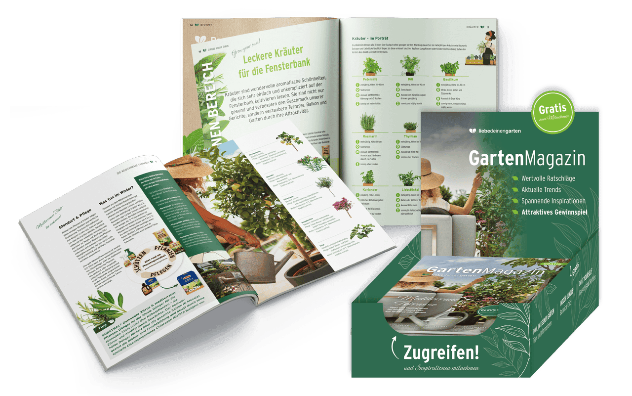 evg_case_gartenmag_2