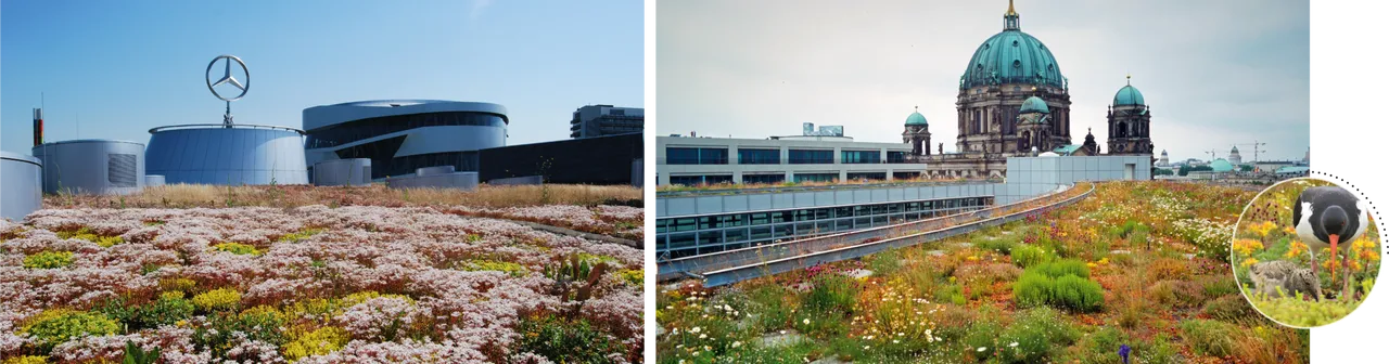 Optigrün Neuer Markenauftritt