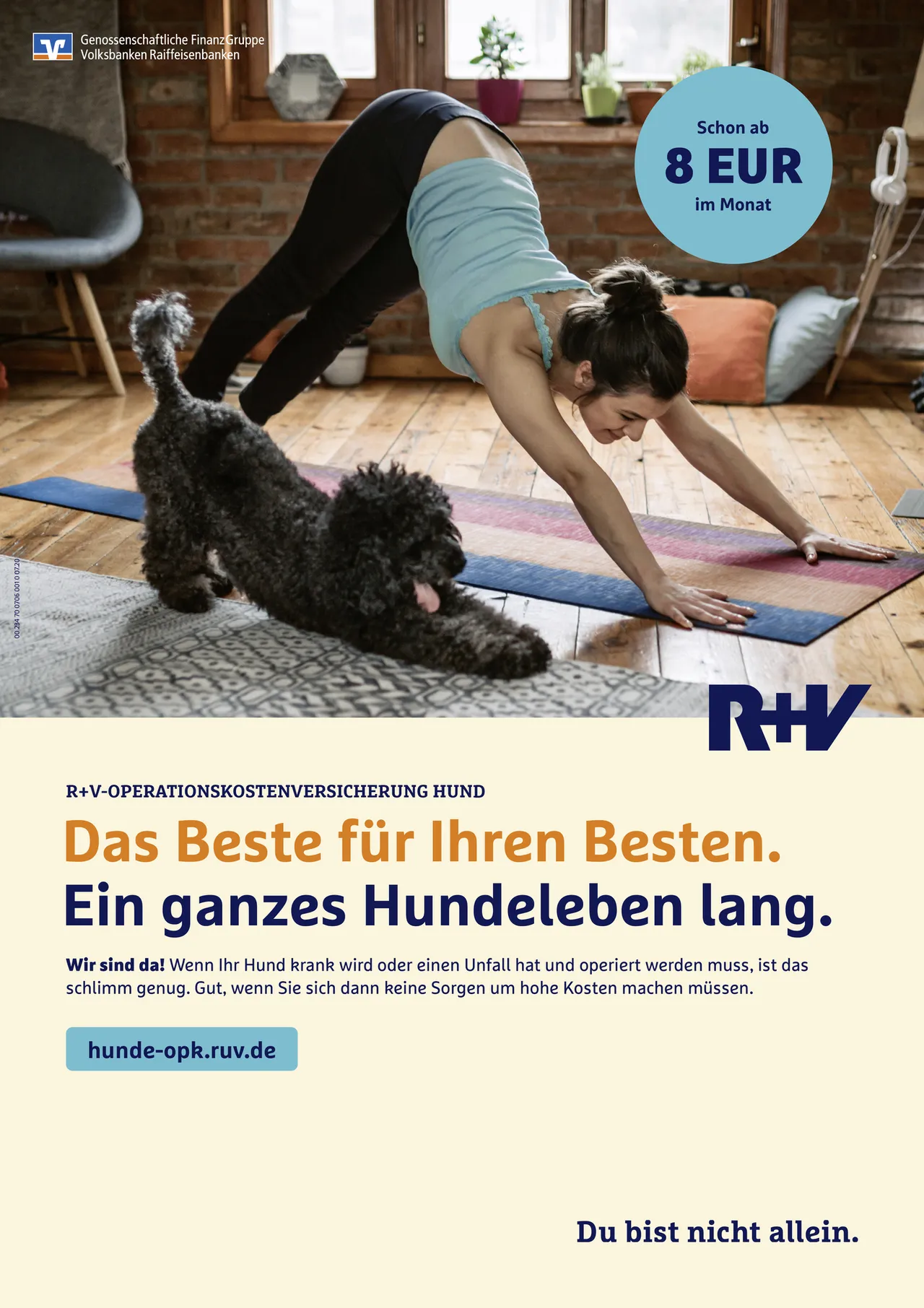 R+V Operationskostenversicherung Hund