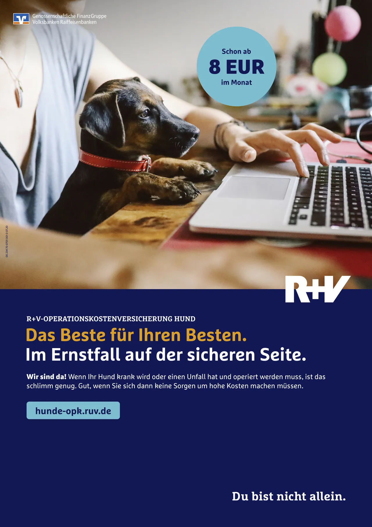R+V Operationskostenversicherung Hund