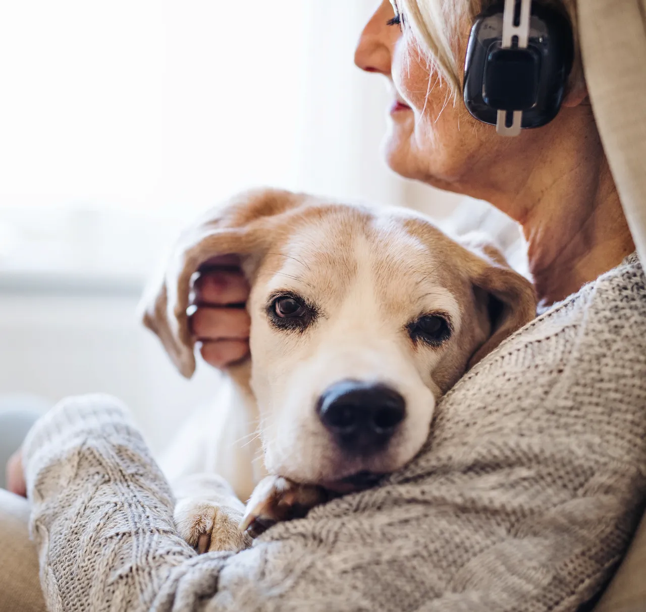 R+V Operationskostenversicherung Hund