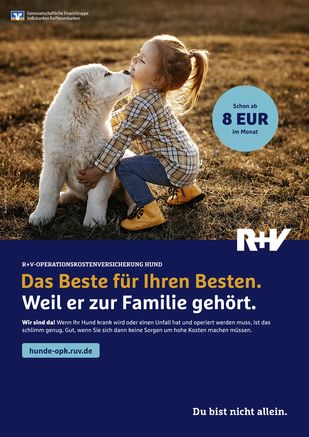 R+V Operationskostenversicherung Hund